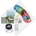 BUTTERFLY / INSECT / CRITTER COLLECTION KIT